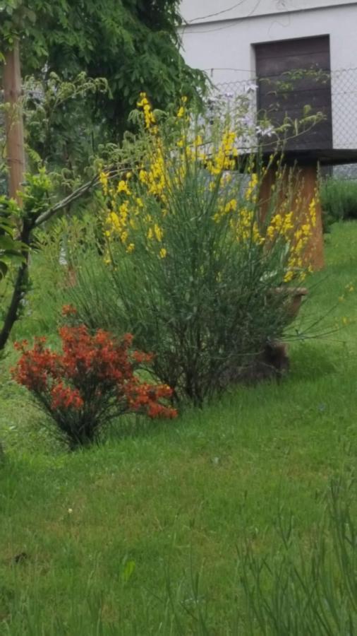 B & B Sentiero Valtellina Castello dell'Acqua Zewnętrze zdjęcie