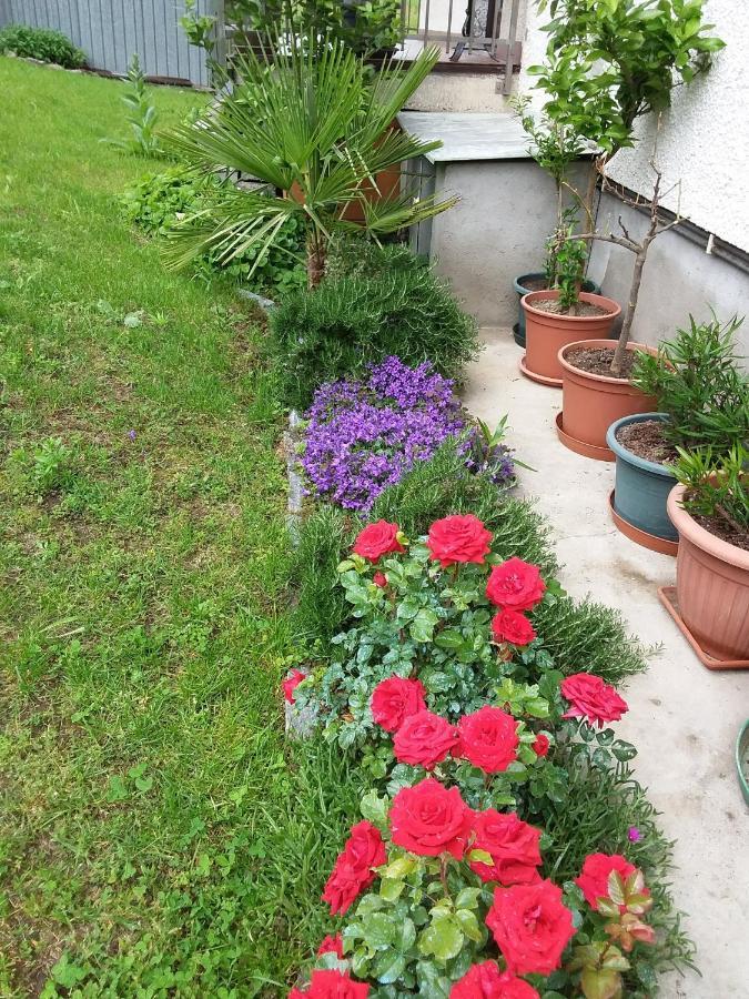 B & B Sentiero Valtellina Castello dell'Acqua Zewnętrze zdjęcie