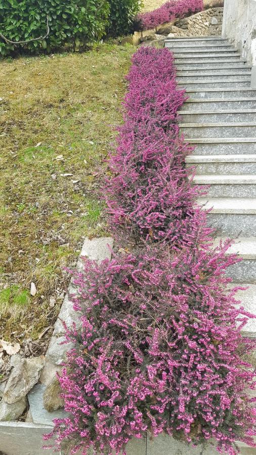 B & B Sentiero Valtellina Castello dell'Acqua Zewnętrze zdjęcie